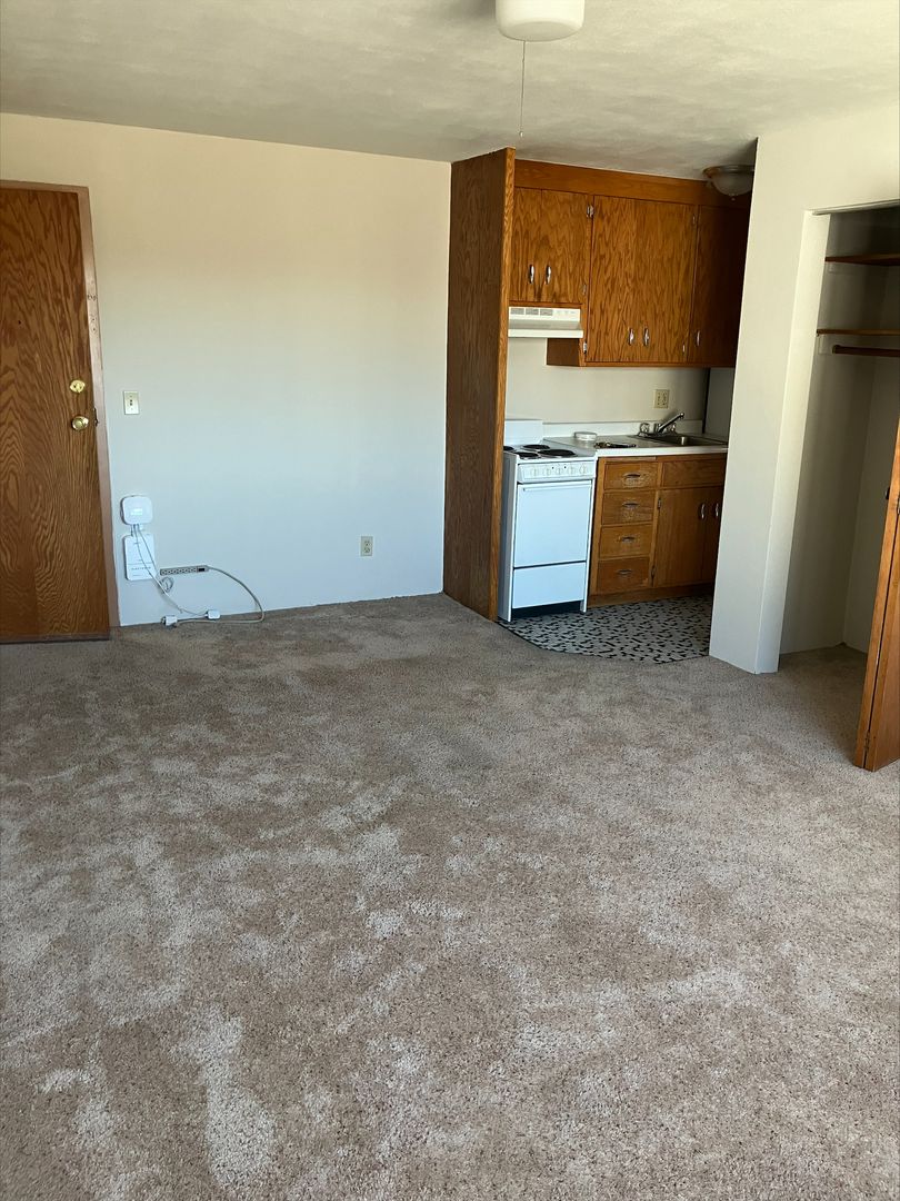 Rochester Apartment: 225 6th Ave SW