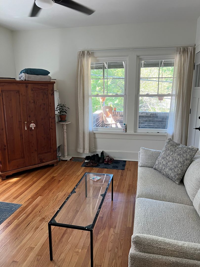 Asheville Apartment: 11 Murdock Ave
