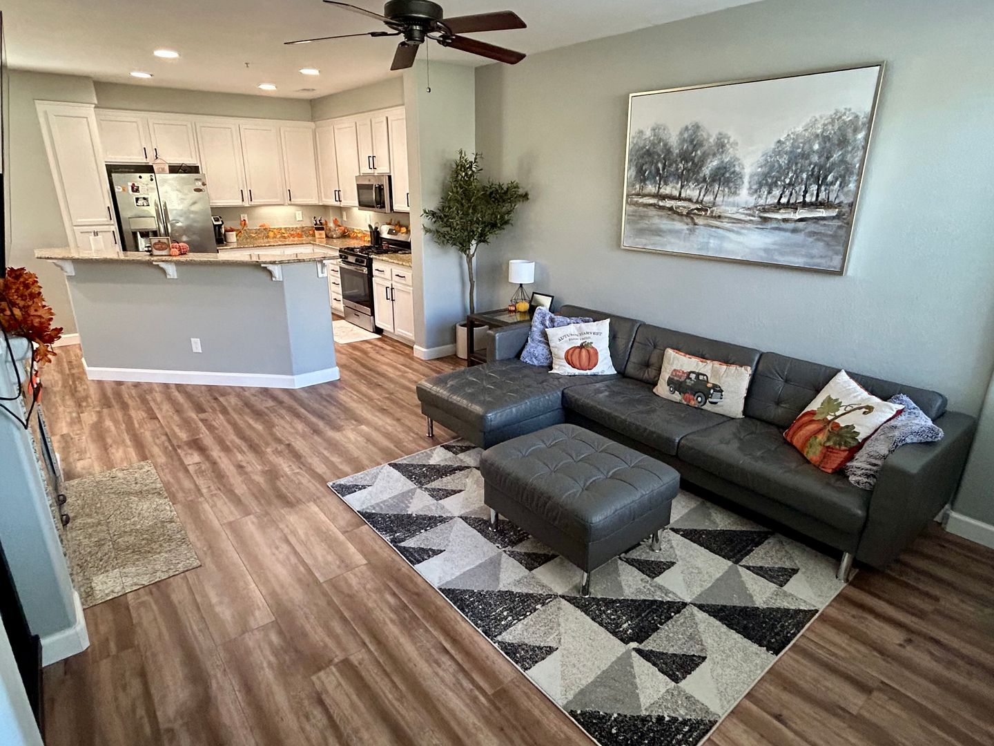 Chula Vista Townhome: 1580 Caminito Zaragosa