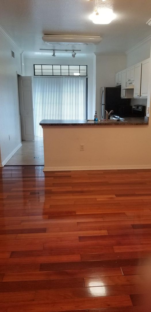 Orlando Condo: 911 N. Orange Avenue