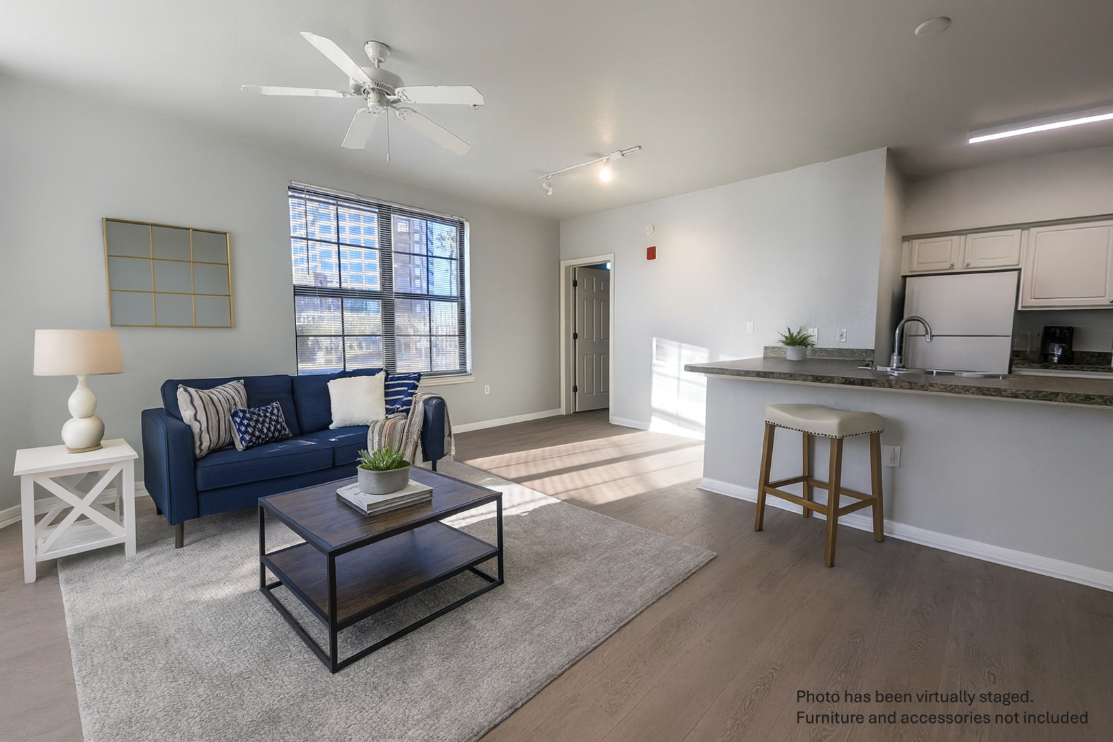 Orlando Condo: 911 N. Orange Avenue