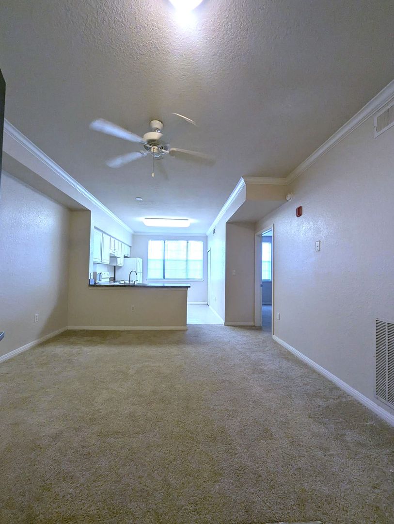 Orlando Condo: 911 N. Orange Avenue