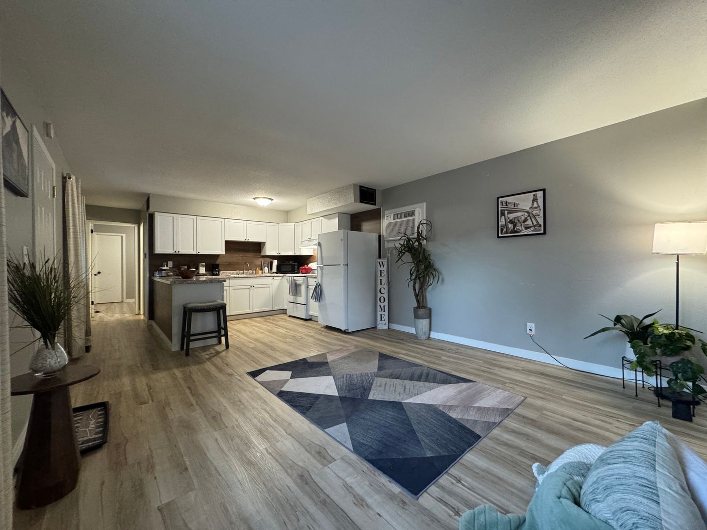 Hudson Apartment: 322 S. Washington St.