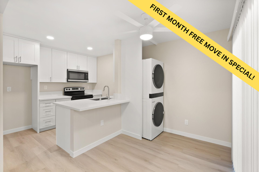 Fully Renovated 2 Bedroom 1 Bath Apartment - New Cabinets, Appliances, & In Unit Washer Dryer – photo 1