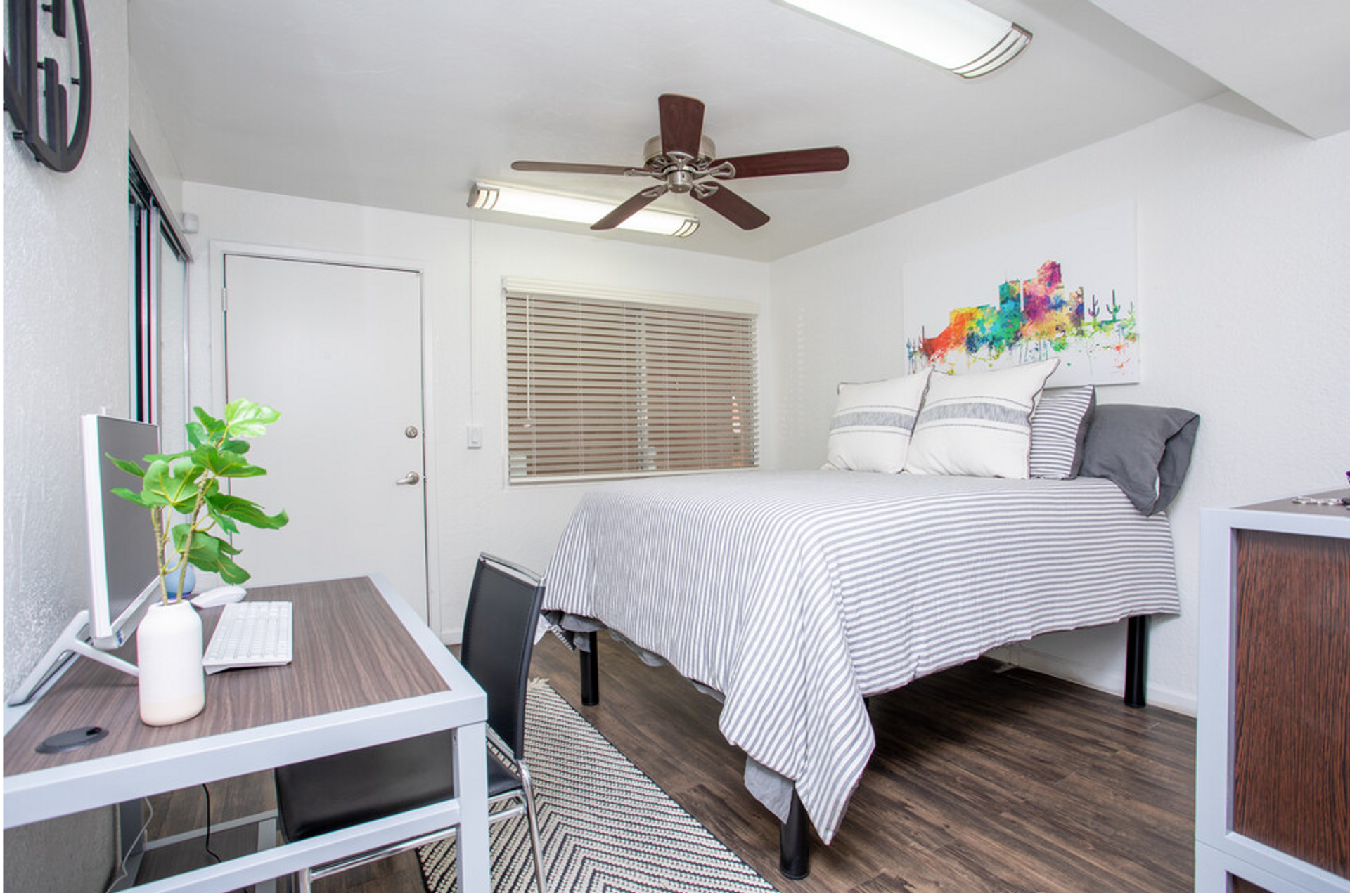 Tucson Apartment: 1725 North Park Ave