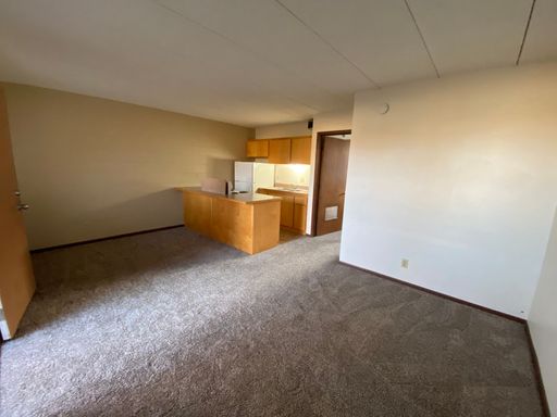 Studio 1 Bath Apartment at 422 Cedar Ave N Apt #21, Owatonna, MN – photo 1