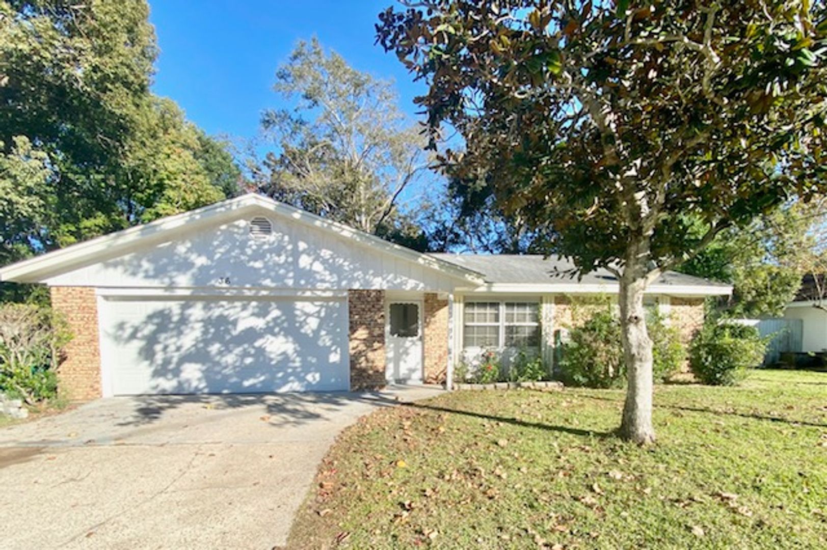 Shalimar House: 36 10th Street
