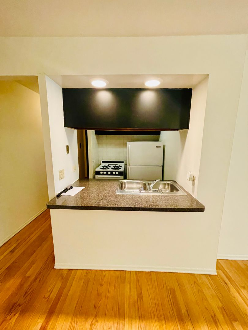 Chicago Apartment: 535 W Briar