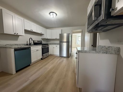 2 Bed 1 Bath Rental at 530 w 26th - 532-1, Chicago, IL – photo 1