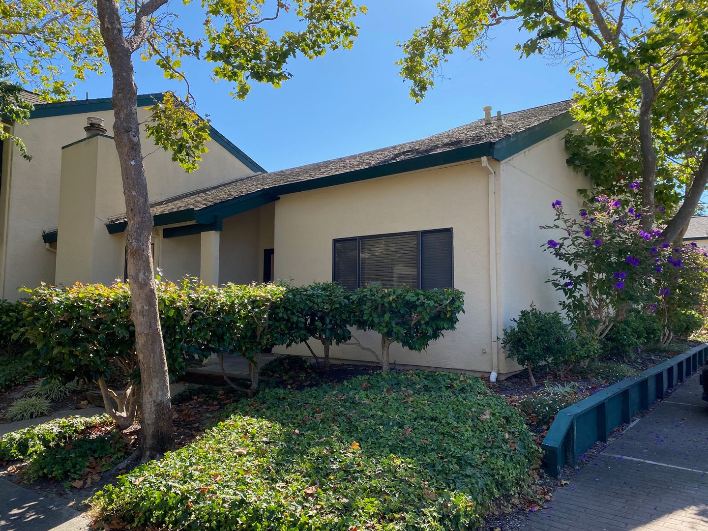 Alameda House: 201 Lagunaria Lane