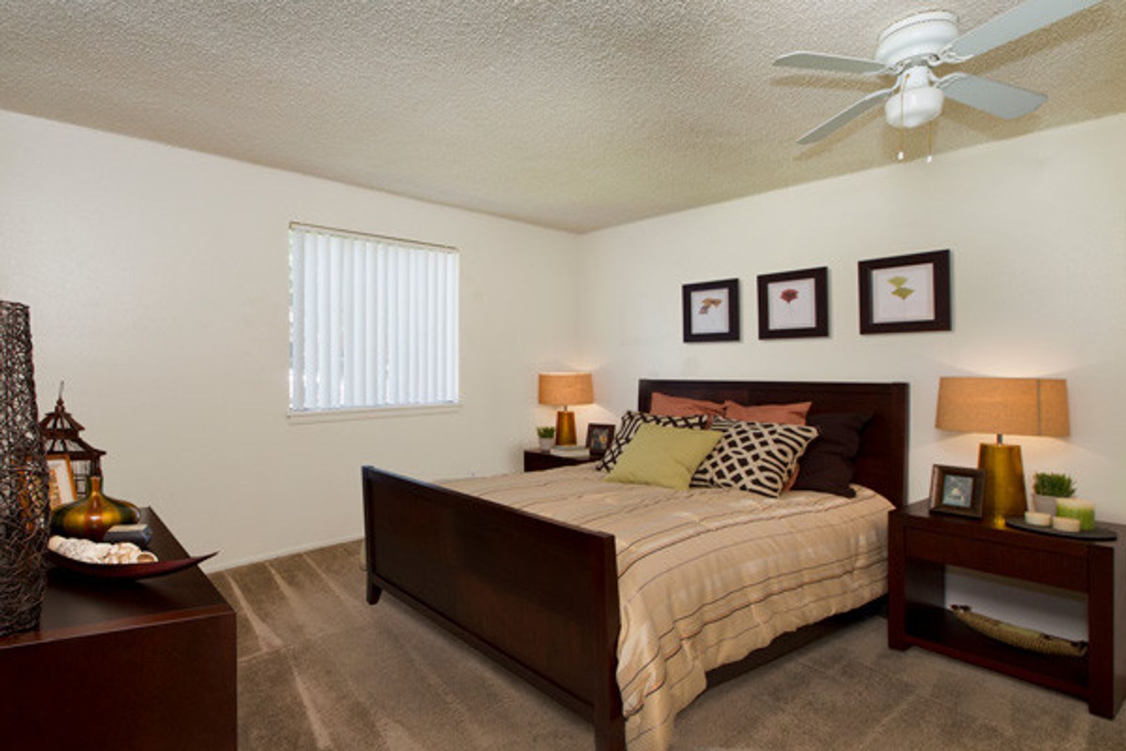 Colorado Springs Apartment: 3929 E. San Miguel