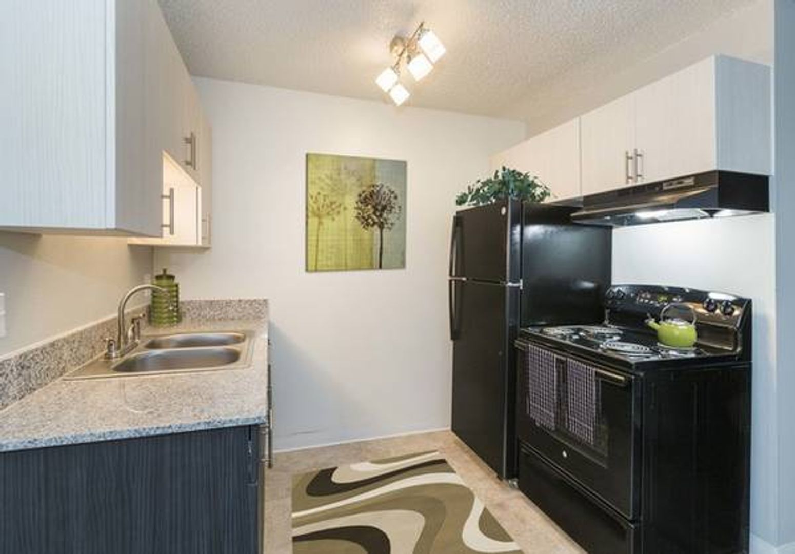 Colorado Springs Apartment: 4125 Galley Rd.