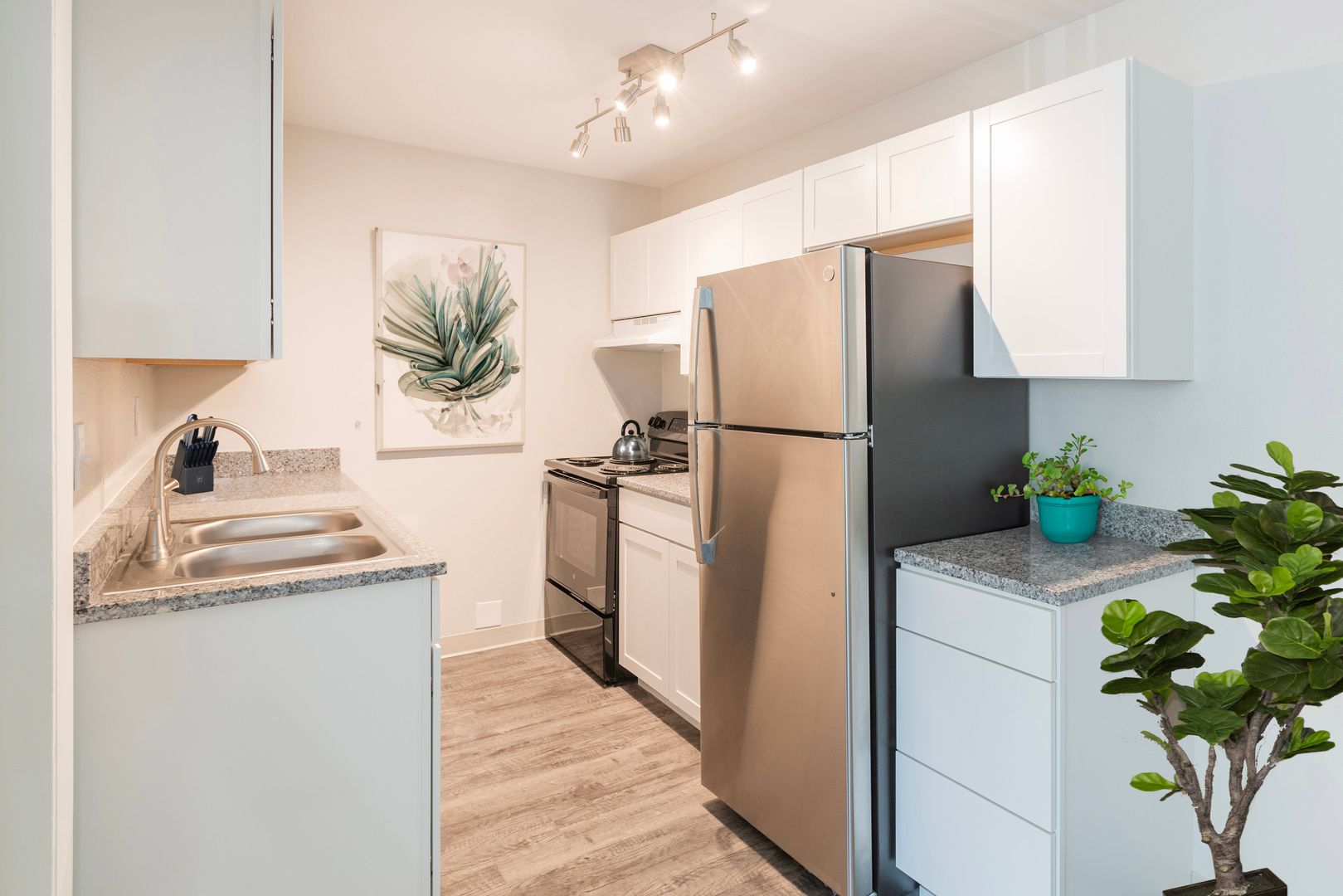 Colorado Springs Apartment: 1303 N. Nevada Ave.