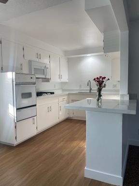Large 2 bedroom with Assigned Parking!