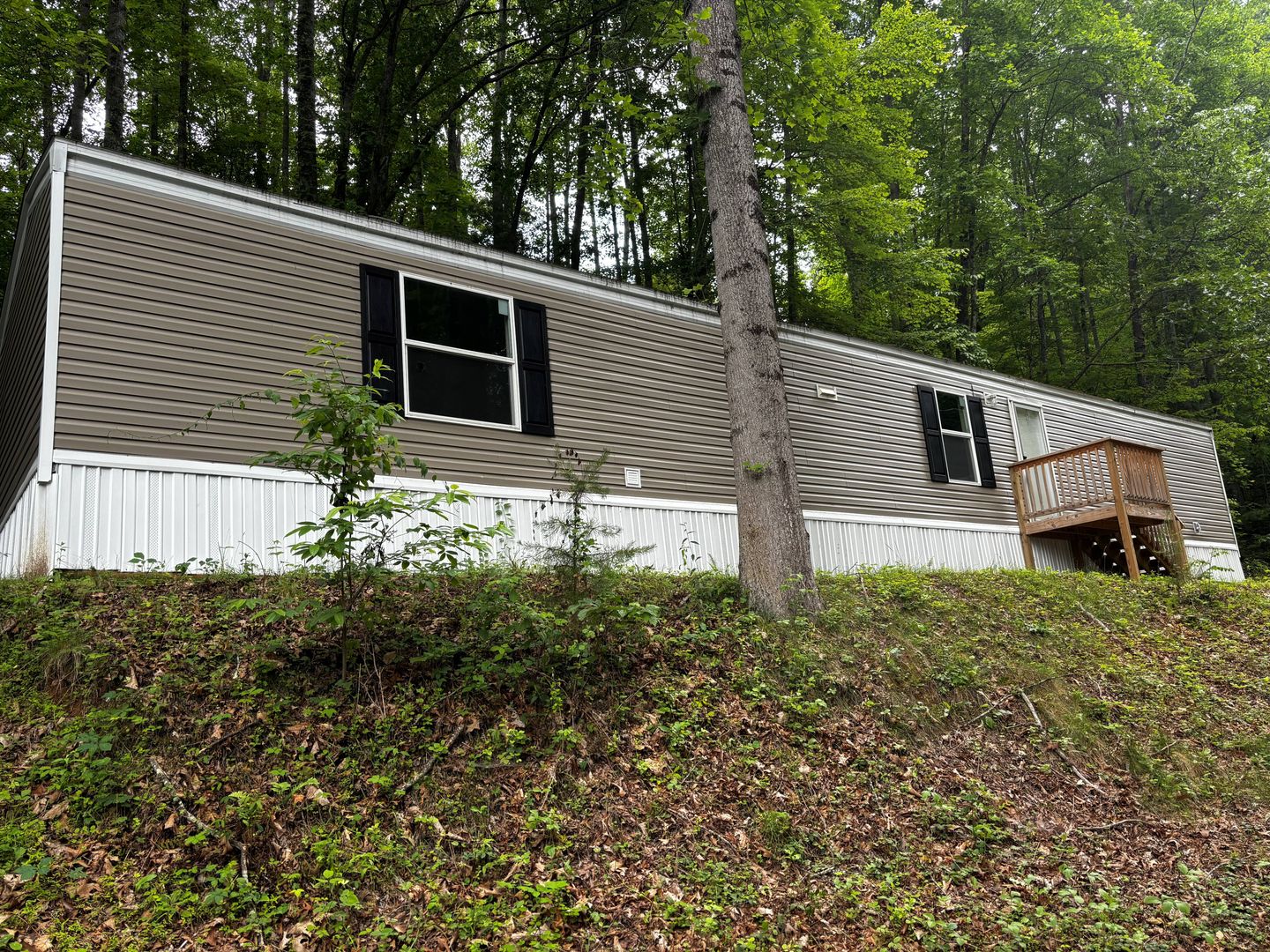 Waynesville Apartment: 49 Crooked Fork Lane