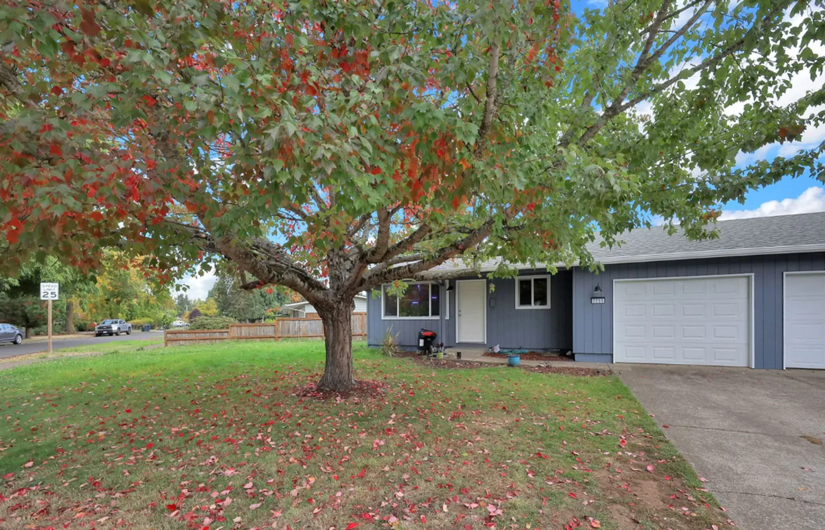 Springfield Apartment: 2255 Shadylane Drive