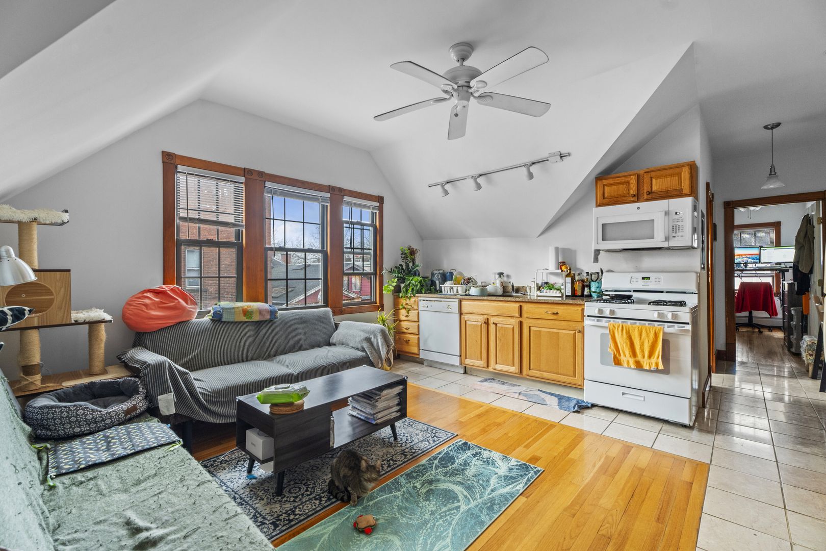 New Haven Apartment: 202 Park Street