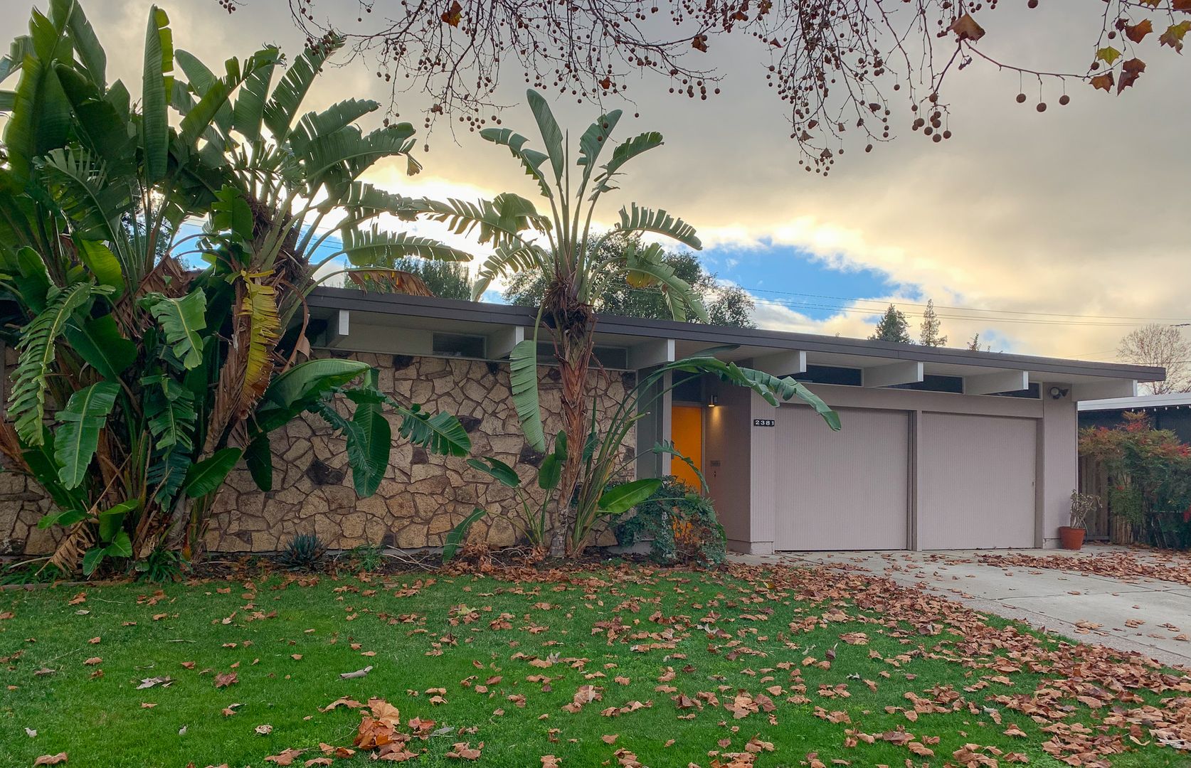 San Jose House: 2381 Booksin Ave