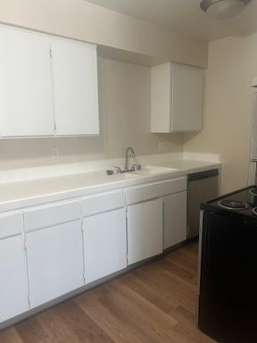 Beautiful 1-Bedroom Apartment