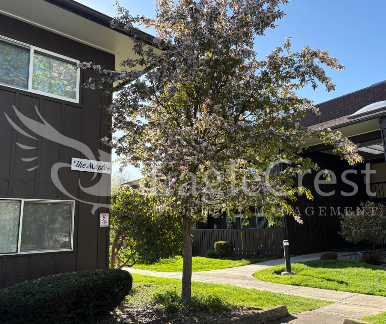 Walla Walla Condo: 364 Catherine St. Unit M-1