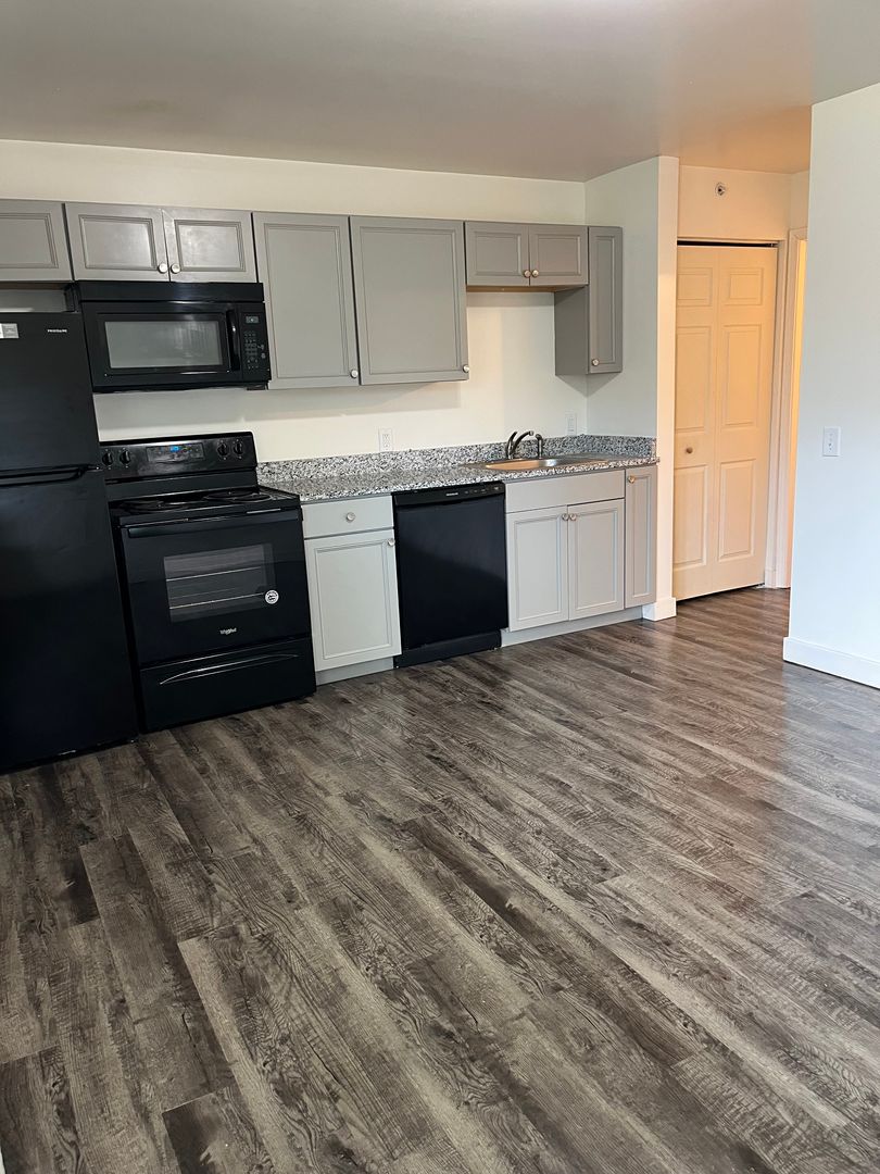 Berrien Springs Apartment: 9766 Rosehill Road