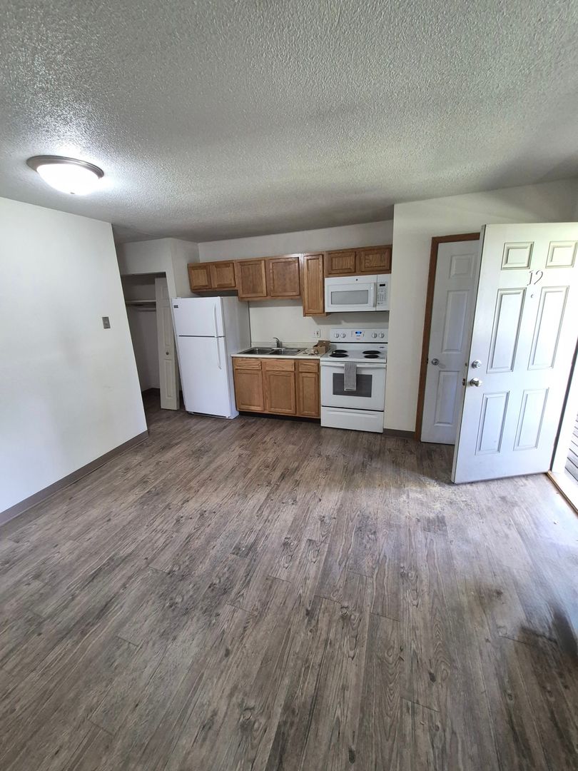 Berrien Springs Apartment: 9766 Rosehill Road