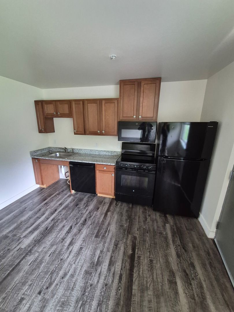 Berrien Springs Apartment: 9766 Rosehill Road