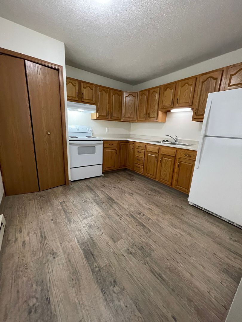 Berrien Springs Apartment: 9766 Rosehill Road