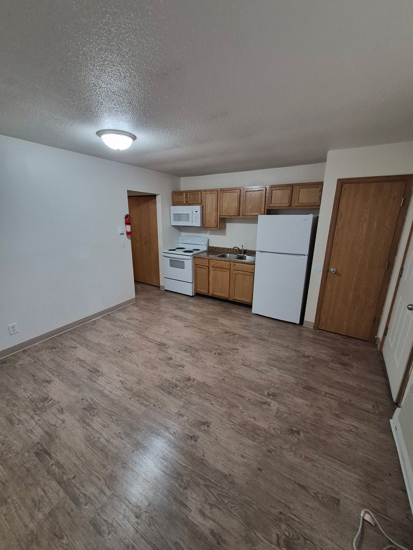 Berrien Springs Apartment: 9766 Rosehill Road