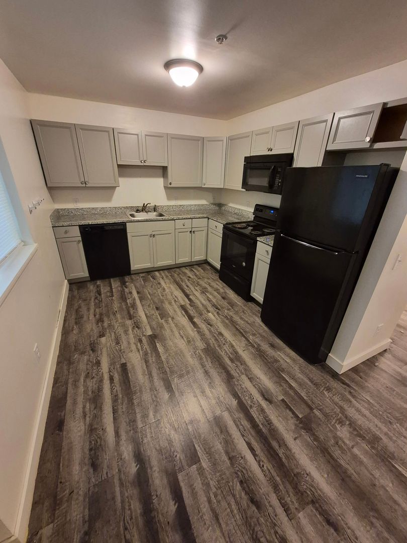 Berrien Springs Apartment: 9766 Rosehill Road