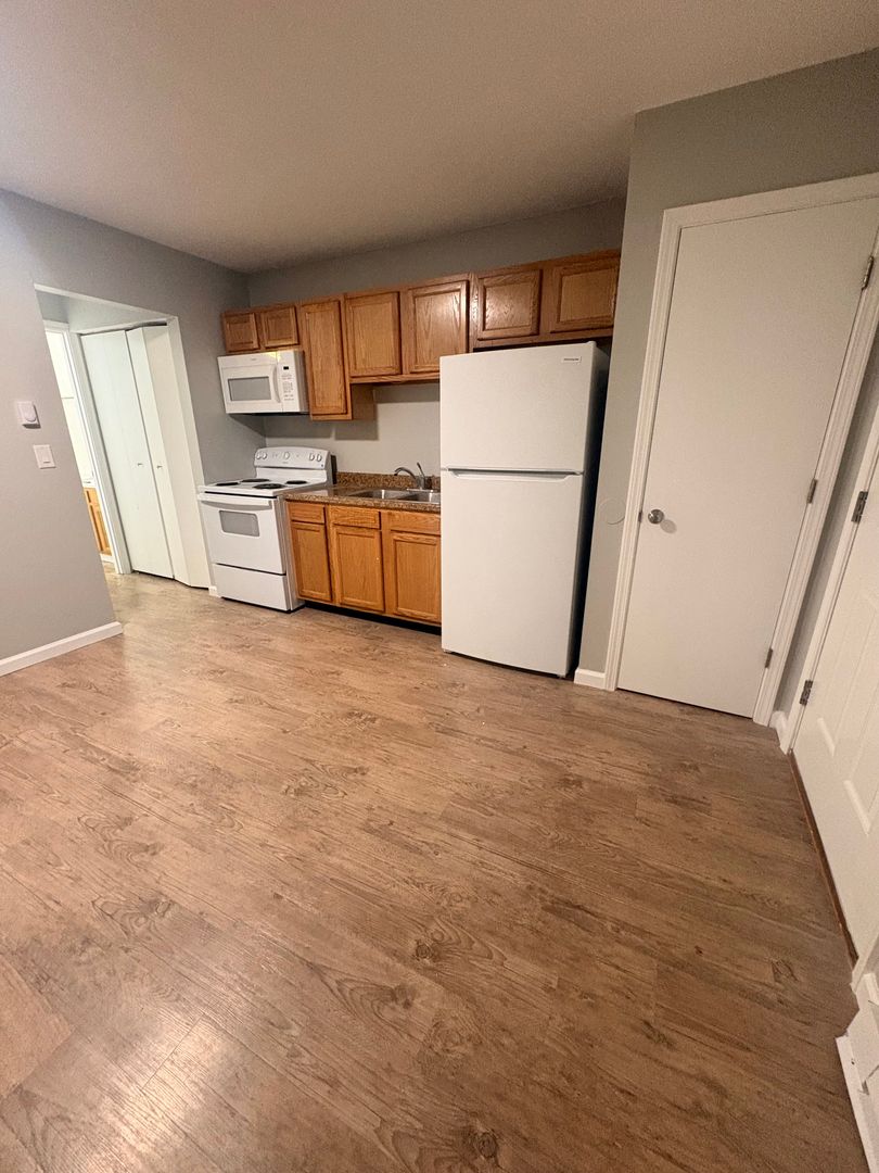 Berrien Springs Apartment: 9766 Rosehill Road