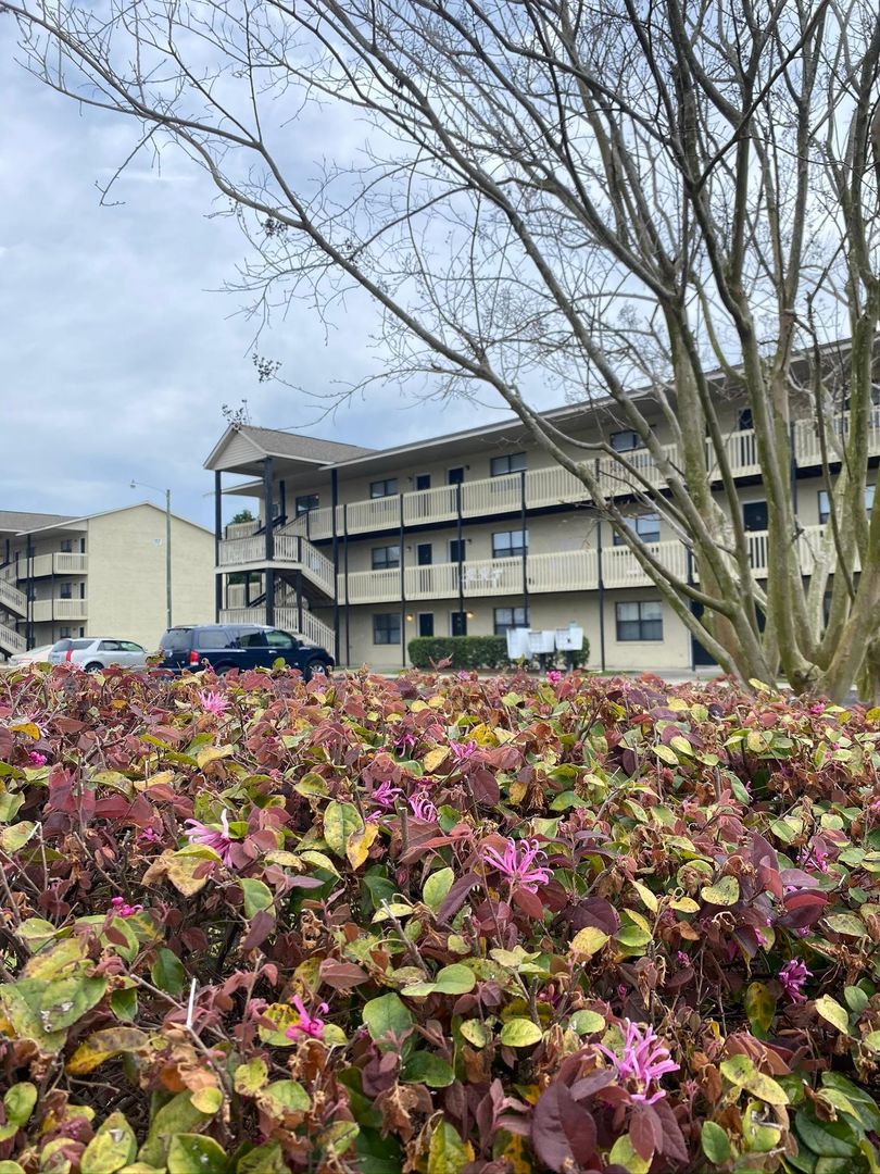 Greenville Apartment: 115 Brownlea Drive