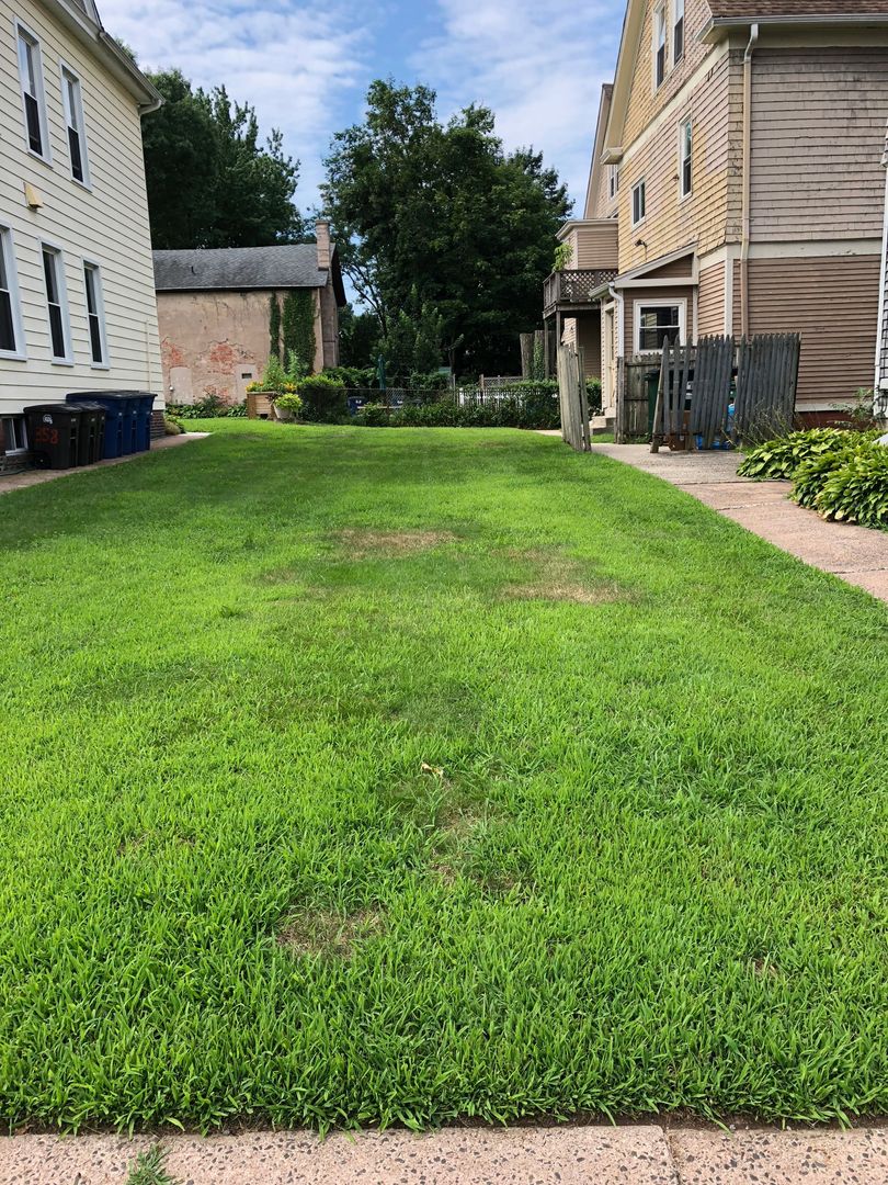 New Haven Apartment: 577-579 Orange St.