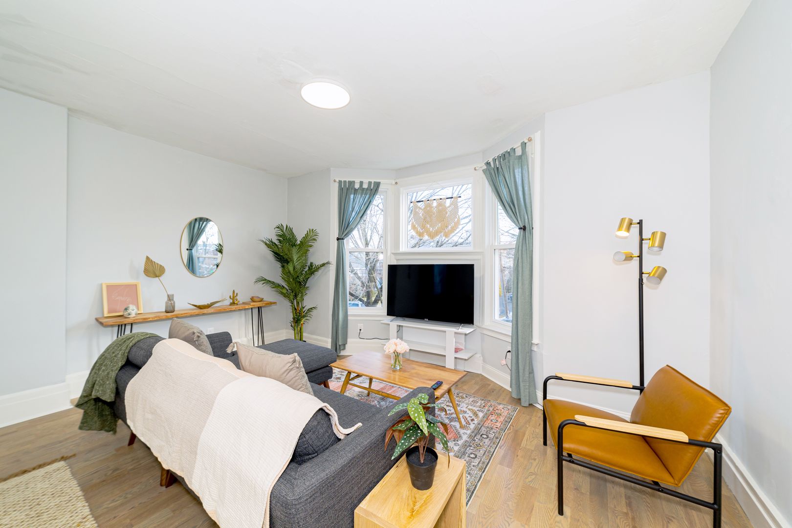 New Haven Apartment: 584 Orange Street