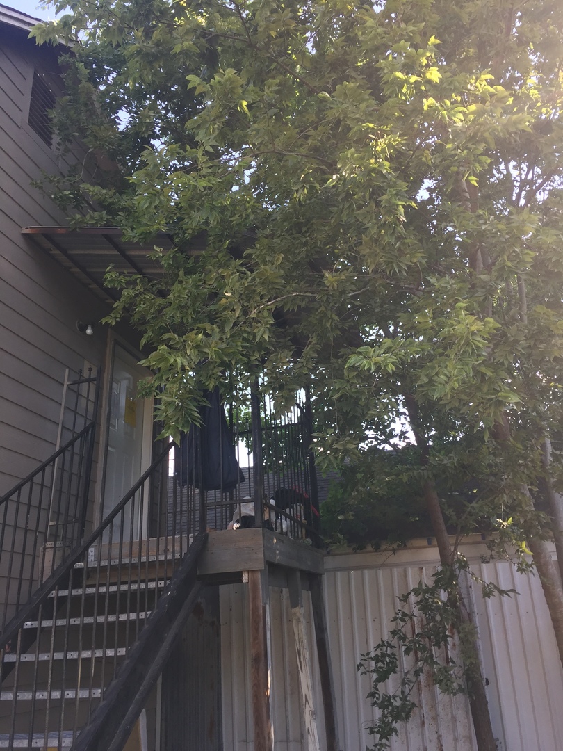 Houston Apartment: 5303 Jefferson