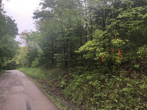BONNE TERRE - 5 Acres Primrose Rd "M" - ONLY $449 DOWN