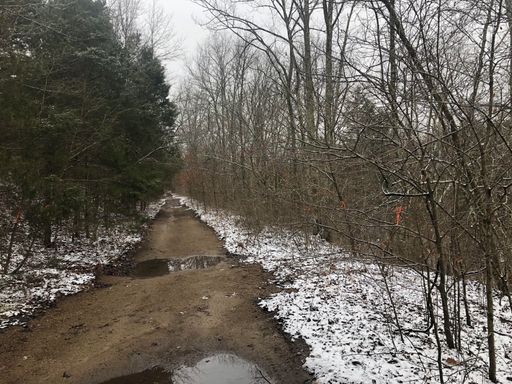 BONNE TERRE - 5 Acres, Creek Frontage, Exotic Rock Formations, Lot J ONLY $449 DOWN