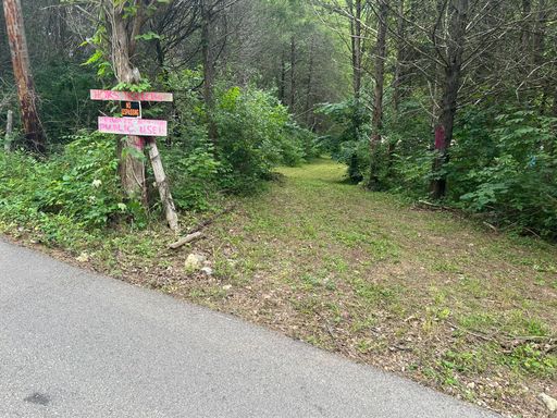 BONNE TERRE - 20 -OR MORE- Acres - BEE RUN CREEK ONLY $599 down