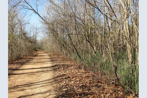 MINERAL POINT - 5 surveyed Acres, creek and gravel driveway - ONLY $439 DOWN