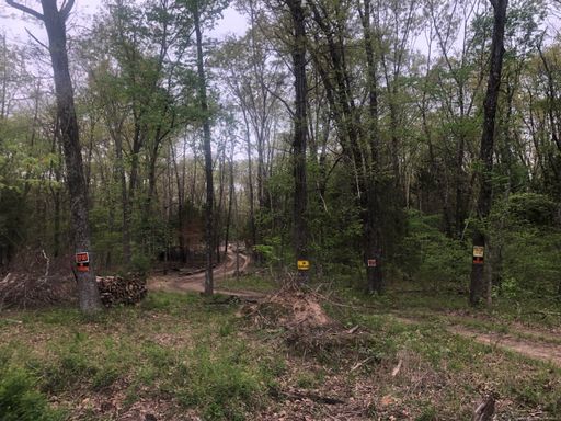 Mineral Point -3 1/2+ acres, level, cleared building site surveyed -ONLY $399 DOWN