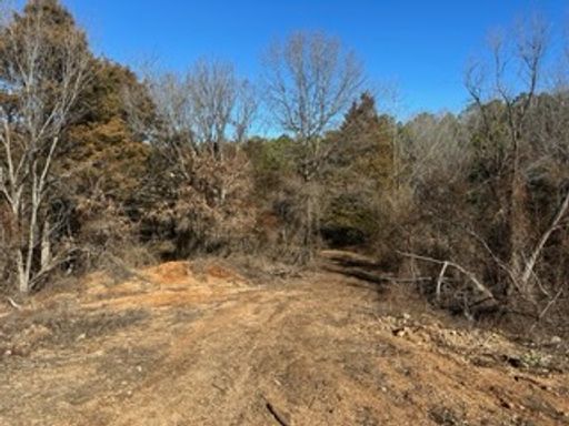 cadet - wolf dam road , cadet 