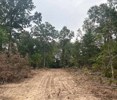 Mineral Point,Private Water Well/Electric/Paved Road -Only $599 down