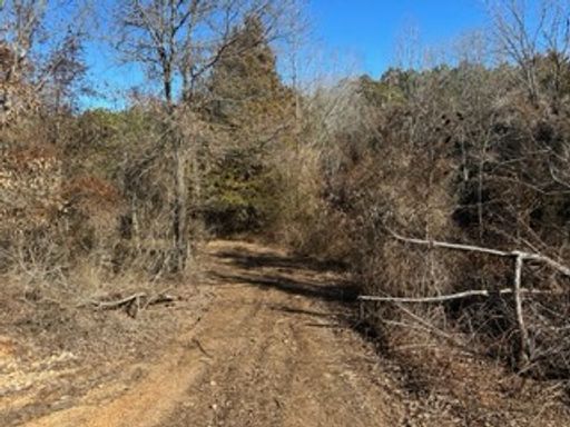 cadet - wolf dam road , cadet 
