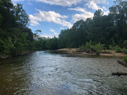 BLACK RIVER <20 acres with 2400 feet Black River frontage- ONLY $599 DOWN