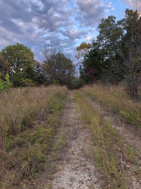 Richwoods, 10335 Paw Paw Rd, 20 Acres- Lake, electric / ONLY $999 DOWN