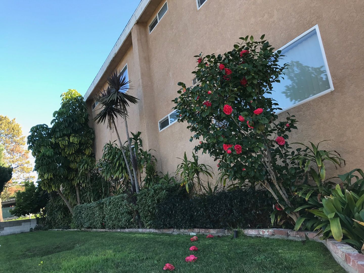 Lomita Apartment: 1710 W. 252nd Street