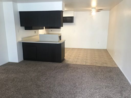 MOVE IN SPECIAL – photo 1