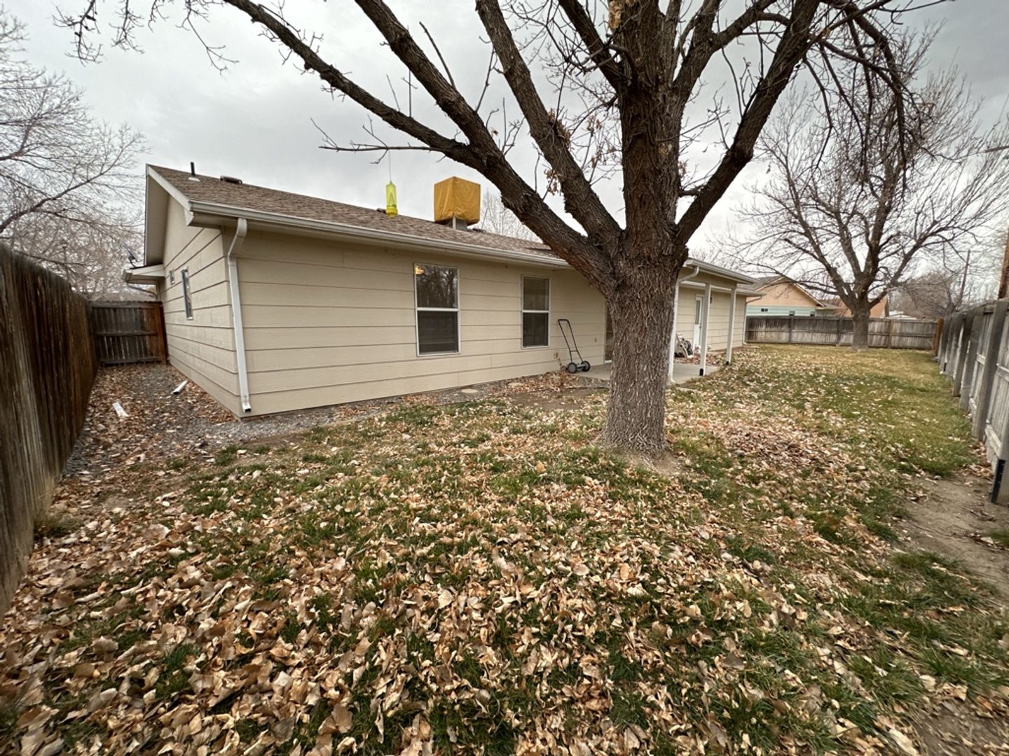 Gallery Image 18