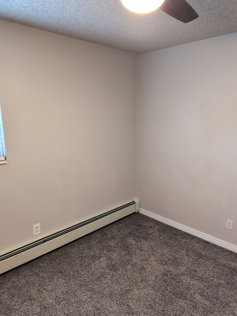 Gallery Image 19