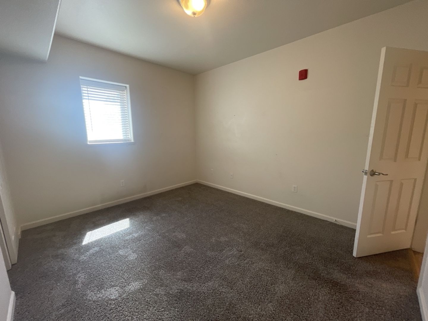 Gallery Image 18
